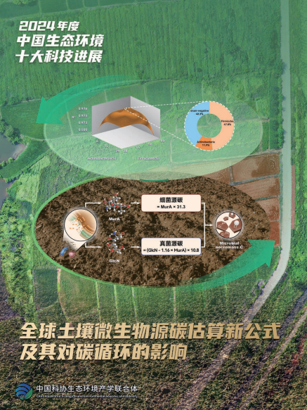 南京土壤所牵头完成的科研成果“全球土壤微生物源碳估算新公式及其对碳循环的影响”入选2024年度中国生态环境十大科技进展