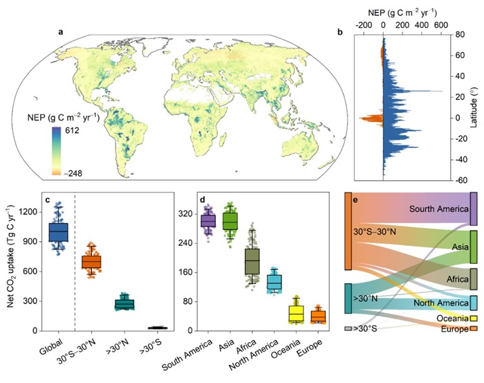南京土壤所在Nature Ecology & Evolution发表全球湿地生态系统碳汇研究成果